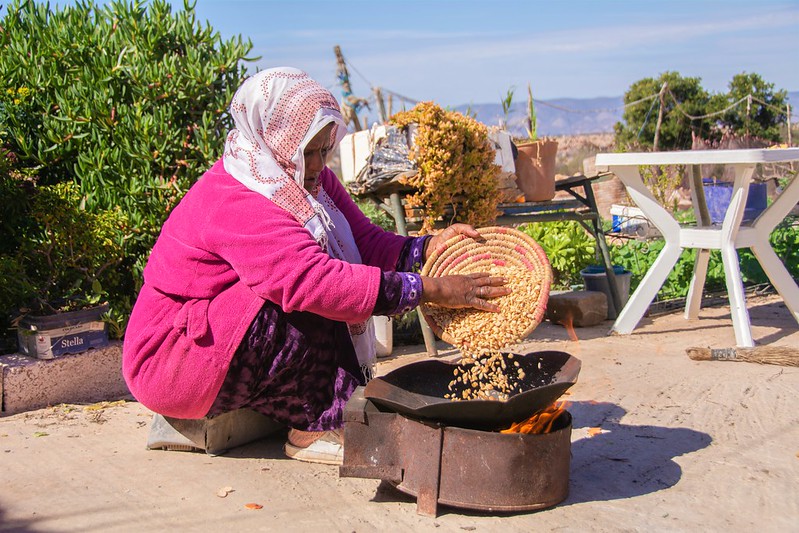 Woman with basket as seen on the cover of OIG's spring 2025 Semiannual Report to Congress. 