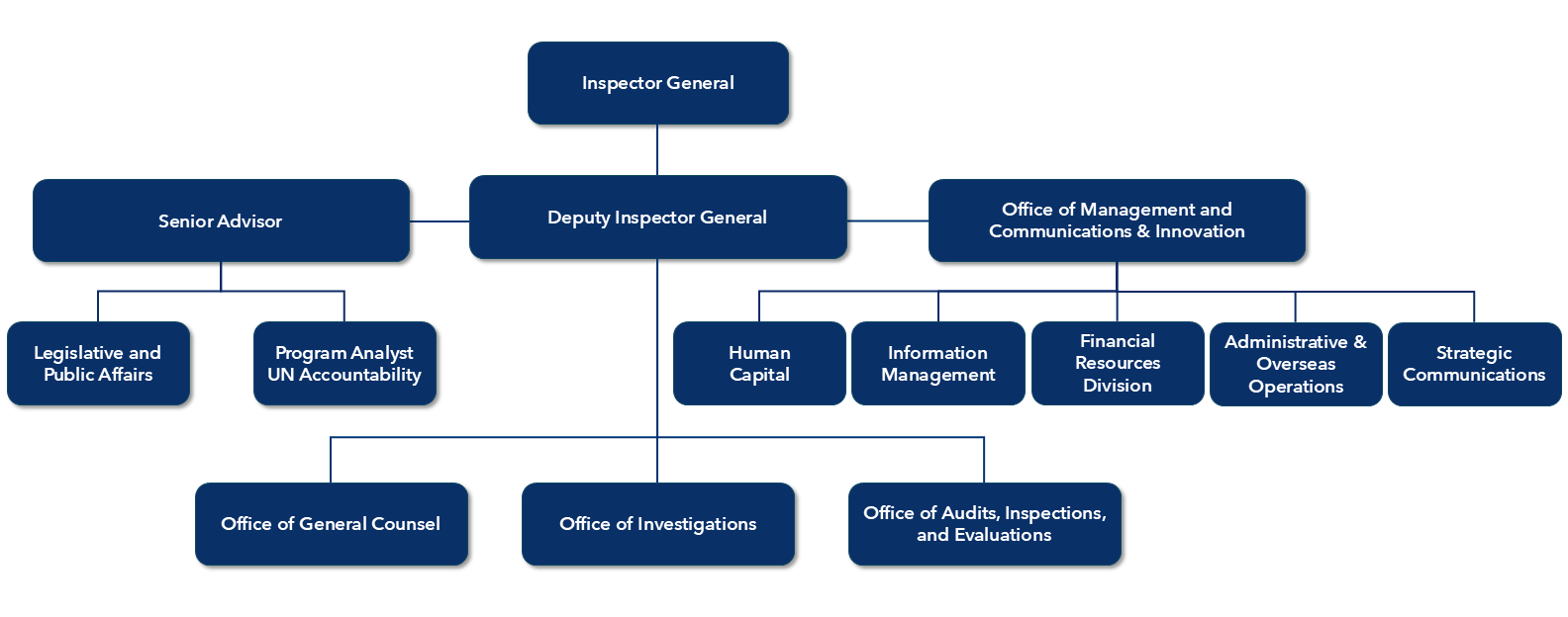 USAID OIG Chart