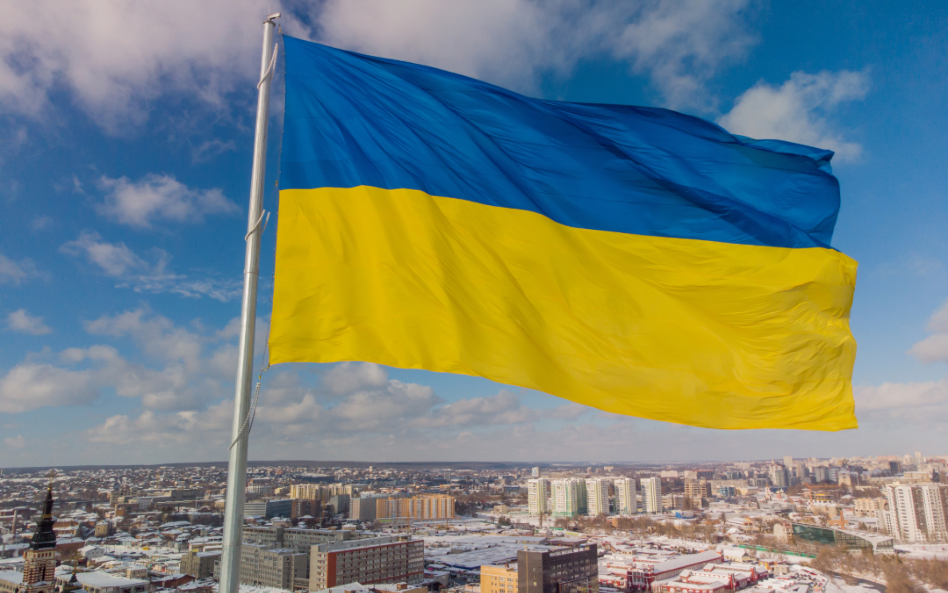 Ukraine Flag